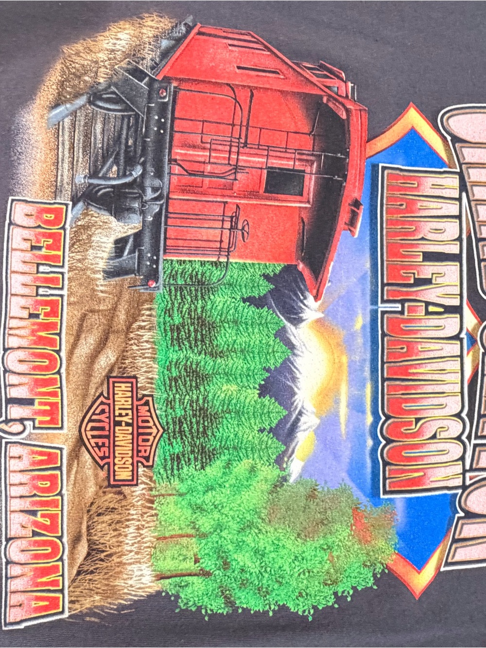 Harley-Davidson Black Short Sleeve Tee with Faded Gold Shield - Picture 7 of 10